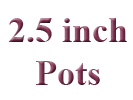 2.5 inch Pots